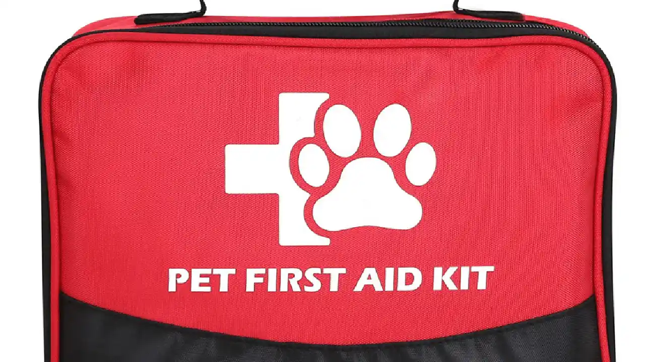 Close up on a plate of mashed potatoes, topped with baked pork chops with cream of mushroom soup, and a side of green beans.