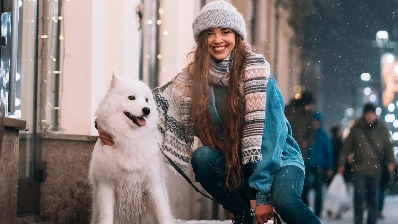 Two mint chocolate milkshakes with whipped cream and green sprinkles.