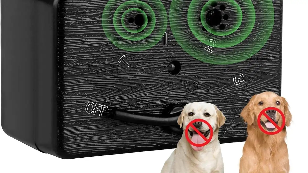 Two mint chocolate milkshakes with whipped cream and green sprinkles.