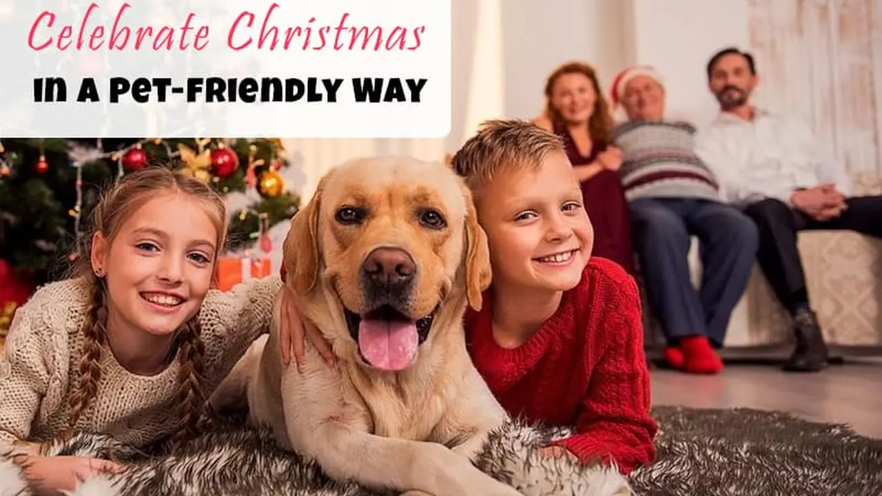 blue bowl of black bean beef tortilla soup on a board with cilantro and shredded cheese in background