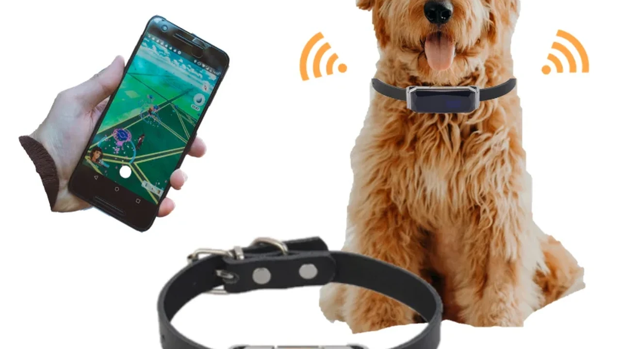 Close up on a plate of mashed potatoes, topped with baked pork chops with cream of mushroom soup, and a side of green beans.