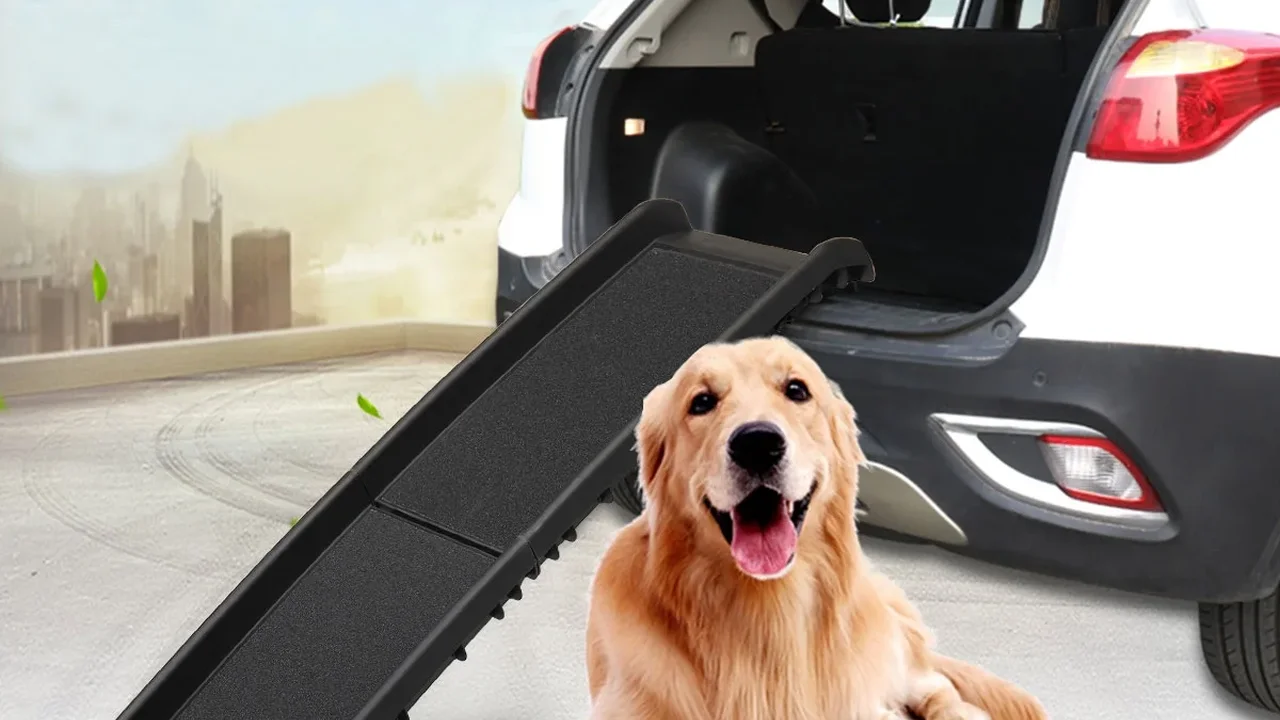 Close up on a plate of mashed potatoes, topped with baked pork chops with cream of mushroom soup, and a side of green beans.