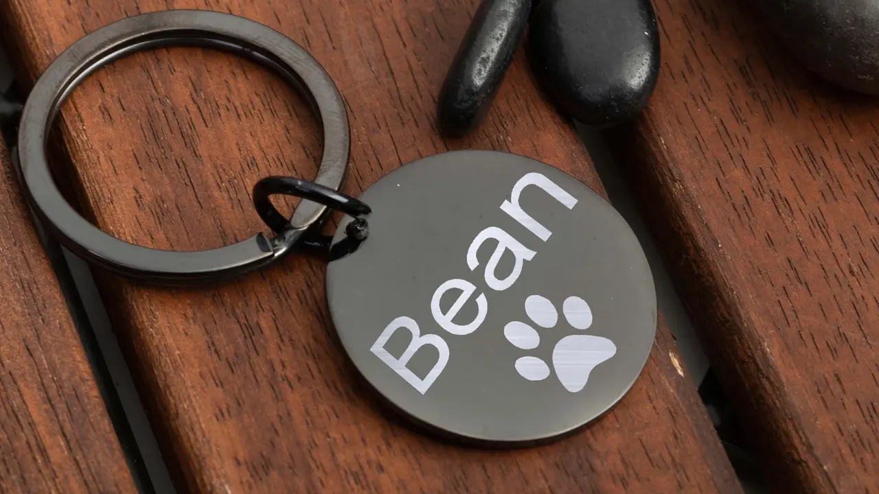 Close up on a plate of mashed potatoes, topped with baked pork chops with cream of mushroom soup, and a side of green beans.