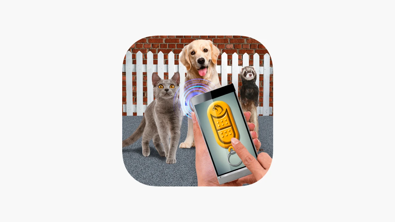 Close up on a plate of mashed potatoes, topped with baked pork chops with cream of mushroom soup, and a side of green beans.