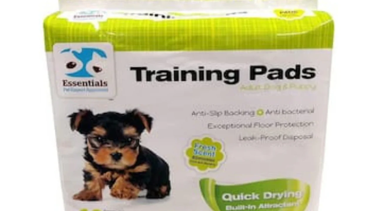 Close up on a plate of mashed potatoes, topped with baked pork chops with cream of mushroom soup, and a side of green beans.