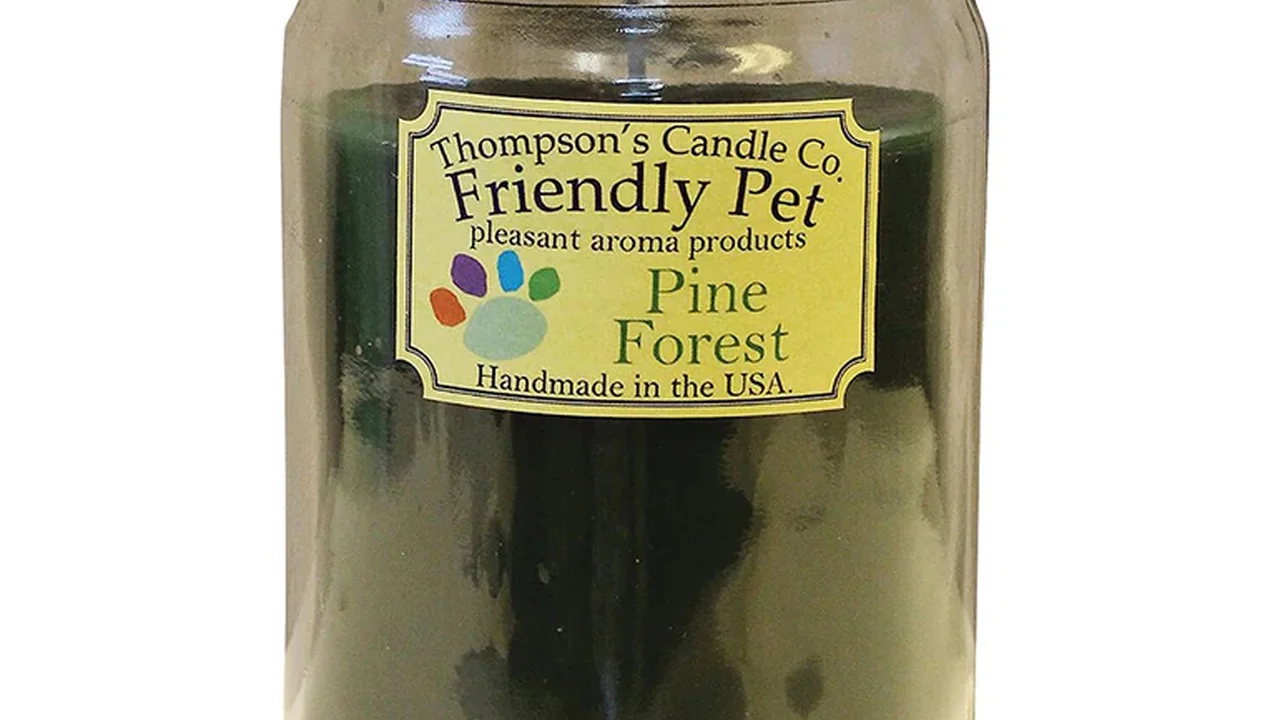 Close up on a plate of mashed potatoes, topped with baked pork chops with cream of mushroom soup, and a side of green beans.