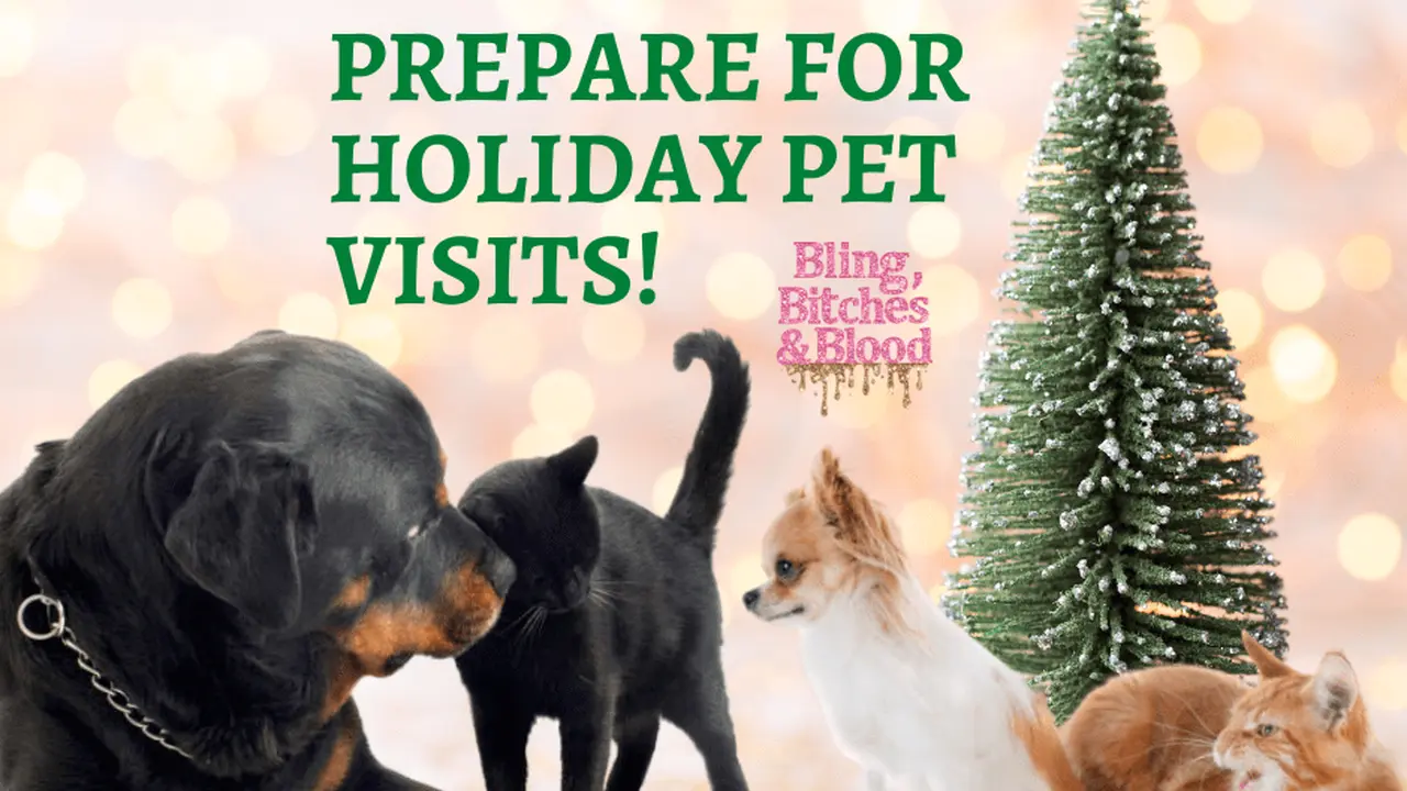 overhead view of corned beef sliced and on a platter with cabbage, potatoes, and carrots