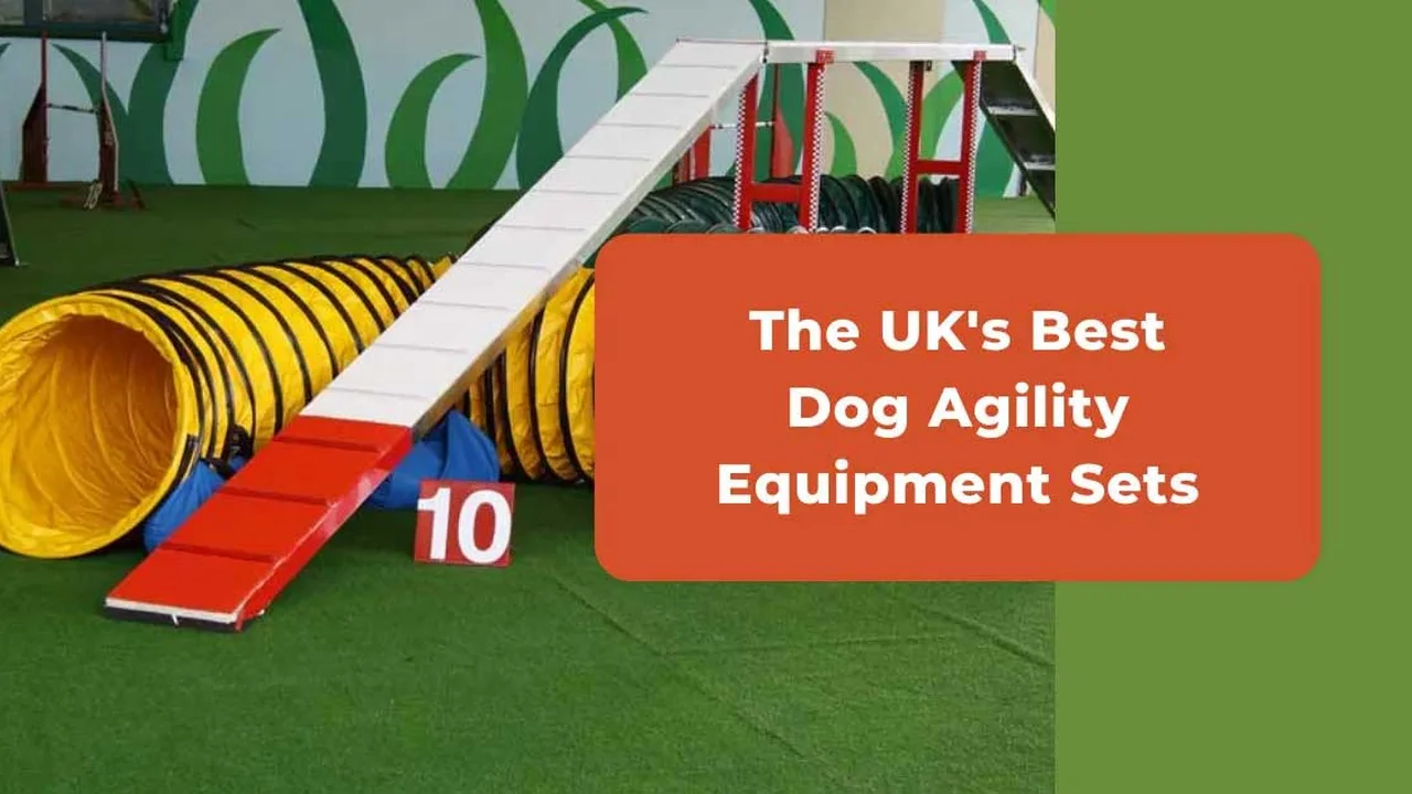 Close up on a plate of mashed potatoes, topped with baked pork chops with cream of mushroom soup, and a side of green beans.