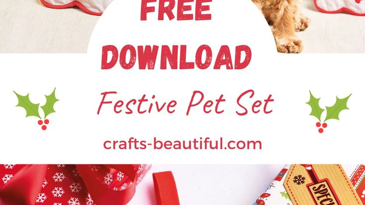 Chef John's Irish Soda Bread