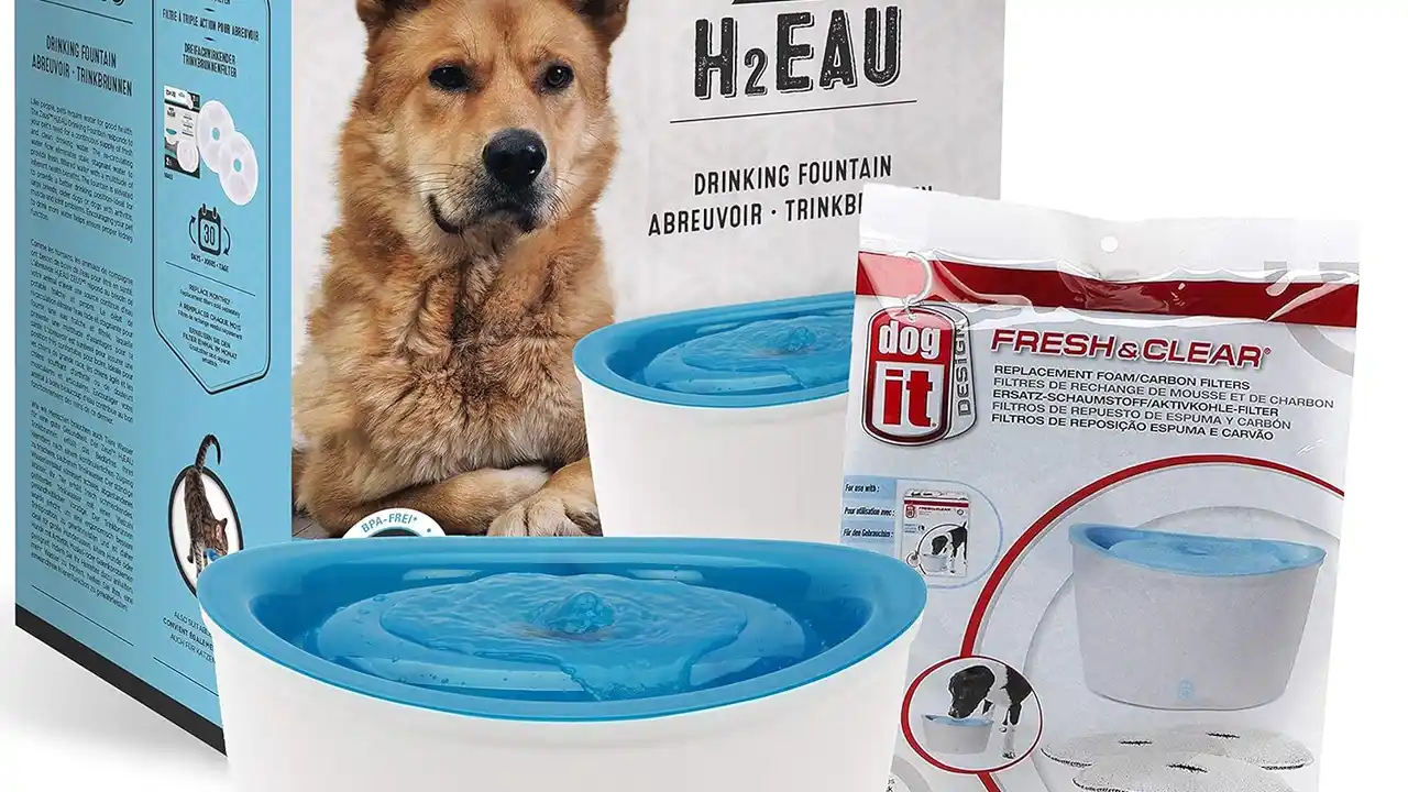 overhead view of corned beef sliced and on a platter with cabbage, potatoes, and carrots