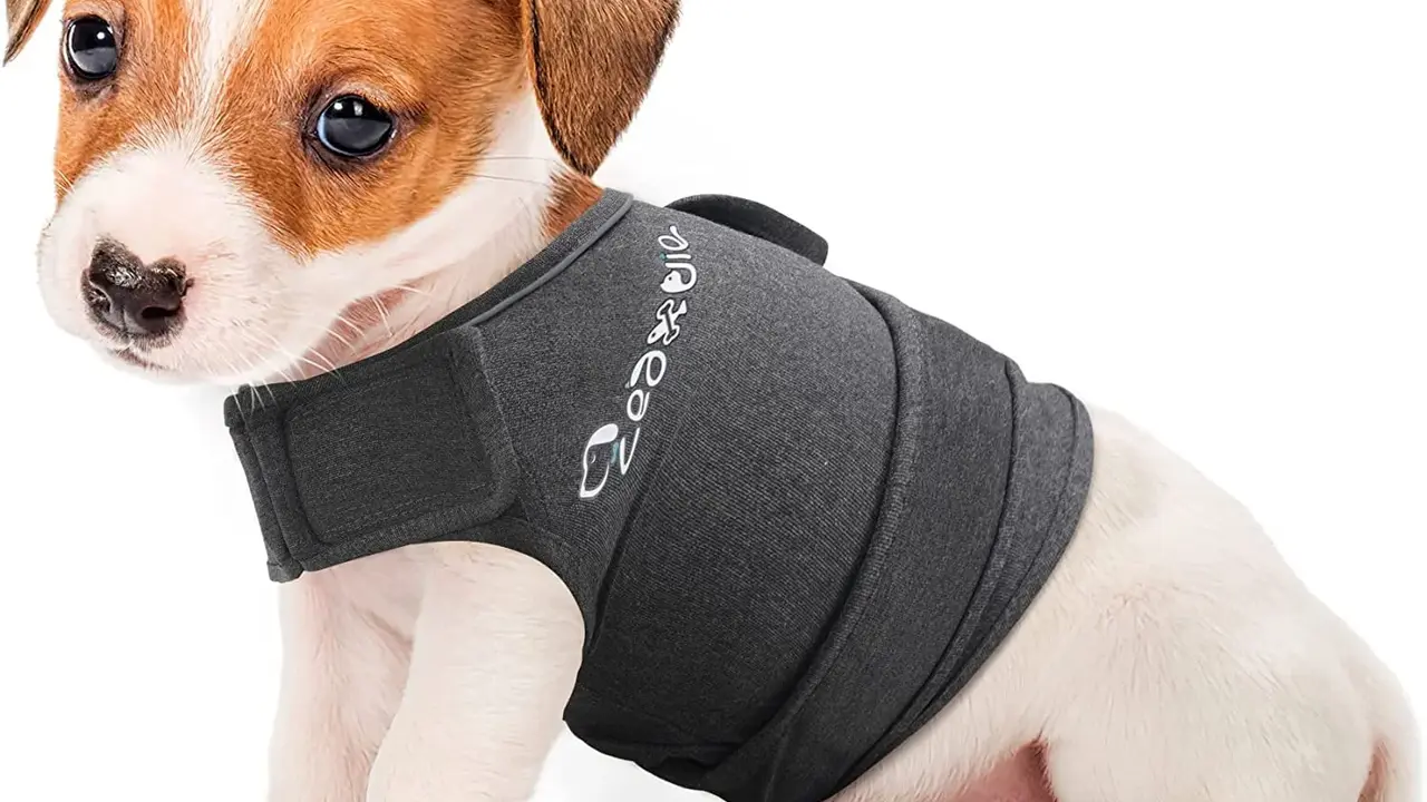 Easy, Two-Ingredient Pulled Pork