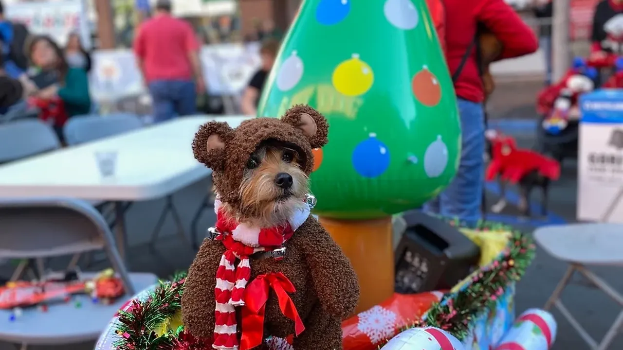 Close up on a plate of mashed potatoes, topped with baked pork chops with cream of mushroom soup, and a side of green beans.