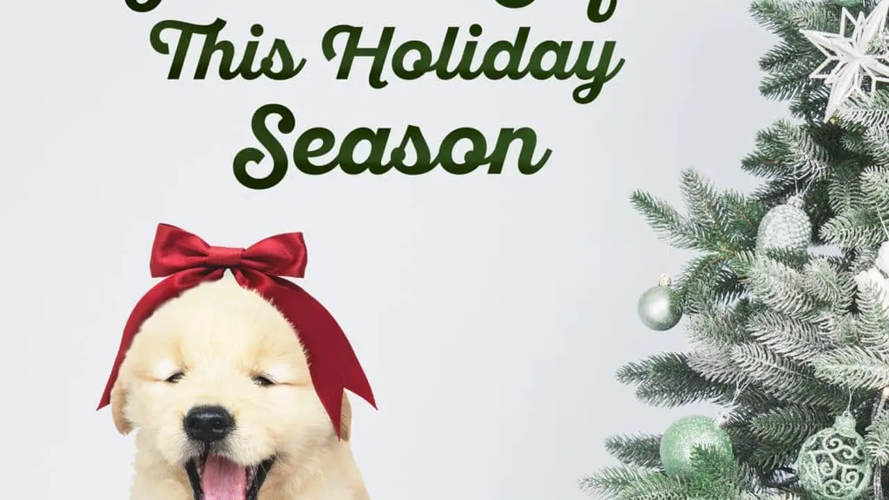 Close up on a plate of mashed potatoes, topped with baked pork chops with cream of mushroom soup, and a side of green beans.
